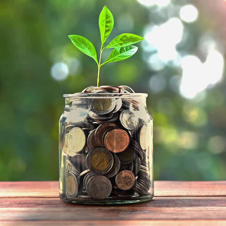 Finansering Domino Systems