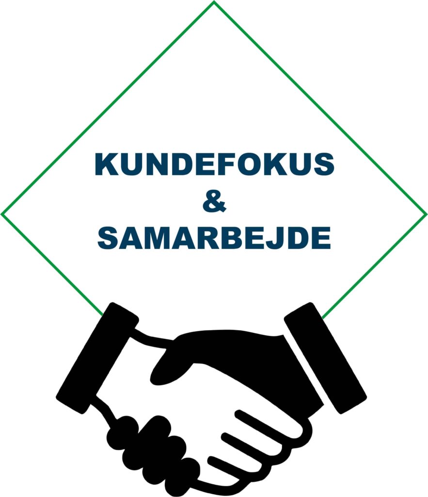 Kundefokus og samarbejde - kerneværdier hos DominoSystems